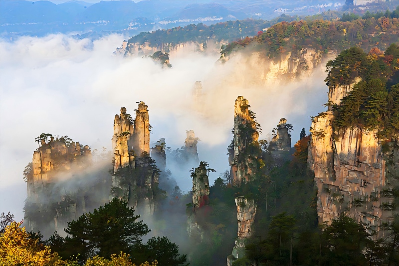 成都-重慶-張家界 8 天 | 熊貓基地-武隆喀斯特-天門山-張家界國家森林公園