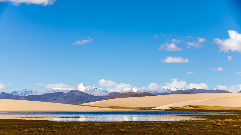 馬河泉濕地公園(1)