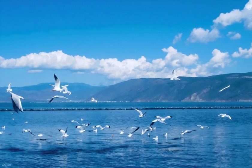 雲南10日經典遊｜昆明大理麗江香格里拉瀘沽湖暢遊精華線，探尋最美高原風光