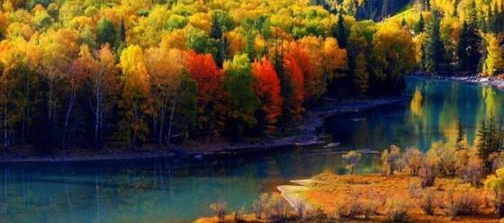 新疆喀纳斯秋天的金色童话