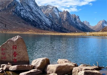 莲宝叶则_2_莹辉流华_来自小红书网页版