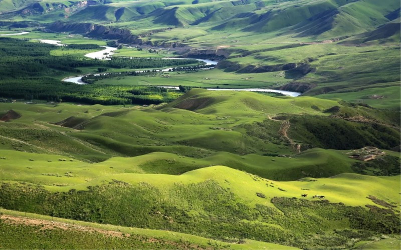 新疆北疆大環線12日深度遊｜喀納斯·禾木·那拉提·獨庫公路精品行程