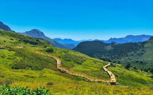 陇南自驾 _ 官鹅沟👣雷古山🏔_5_在学代码的小Li_来自小红书网页版