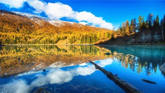 02b8b86a5f78fb222ad1e4adb1799118