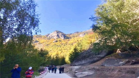 0c7ffeb2a9e09efdf25745528cba4dff