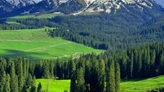 新疆北疆大環線12日深度遊|喀納斯·禾木·那拉提·獨庫公路精品行程