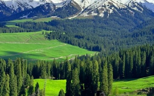 五一喀拉峻徒步已回，说些大实话！_1_西部印象_来自小红书网页版(1)