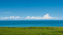 青海湖最實用游玩指南｜从西宁出发2.5小时直达“高原蓝宝石”