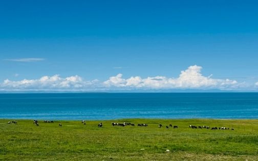 今天的青海湖🌊天气太好啦_2_Grace一一_来自小红书网页版