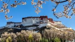 西藏旅遊最佳月份解析:四季景觀與旅行體驗深度評測