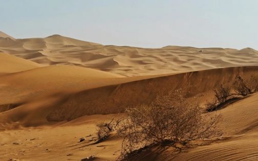 库木塔格沙漠_8_梦度_来自小红书网页版