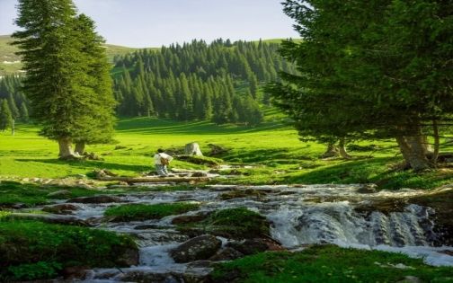 新疆那拉提草原怎麼玩？一篇搞懂空中草原、河谷草原、盤龍谷道（全天行程＋自駕指南）