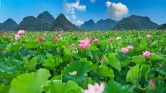 雲南六月旅行全指南：綠野仙蹤，盛夏序曲