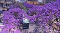 雲南4月天氣：春日旅行完美指南