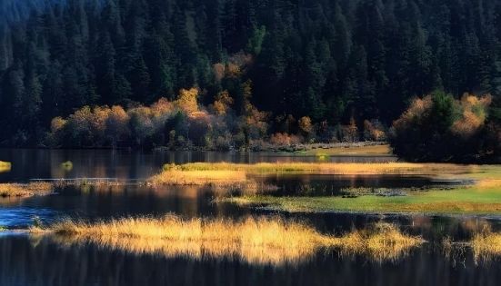 雲南旅遊花費實用攻略：預算規劃與避坑技巧