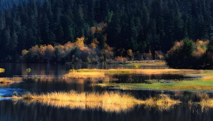 香格里拉普達措國家公園秋景