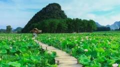 雲南七月旅行全指南：夏雨綠意，火舞秘境