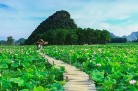 雲南七月旅行全指南：夏雨綠意，火舞秘境