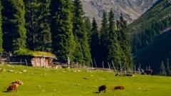 跟隨南疆天氣預報:掌握季節節律,漫遊沙漠古城不踩雷