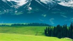 探尋新疆溫度:漫遊南北疆四季