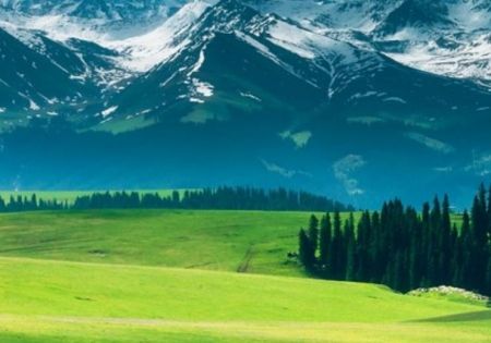 探尋新疆溫度：漫遊南北疆四季