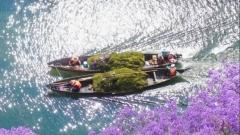 解密雲南 3 月天氣：高海拔與低緯度的秘境氣候特徵