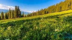 北疆九月天氣全攻略：光影與溫差共舞的金秋探險指南