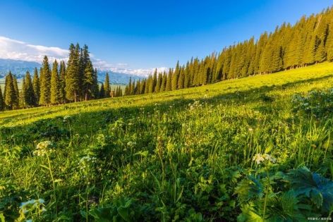 北疆九月天氣全攻略：光影與溫差共舞的金秋探險指南