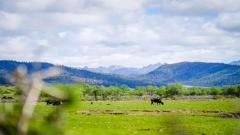 雲南8月天氣指南：避暑賞景正當時，雨季旅行全攻略