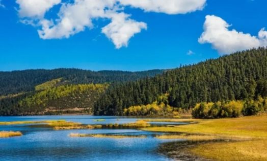 雲南十月旅遊：超實用雲南金秋旅行指南