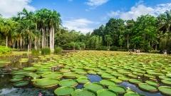 雲南11月天氣旅遊指南:高原秋色與熱帶風情全攻略