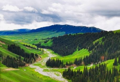 烏魯木齊海拔：外國旅客暢遊新疆首府的全方位指南