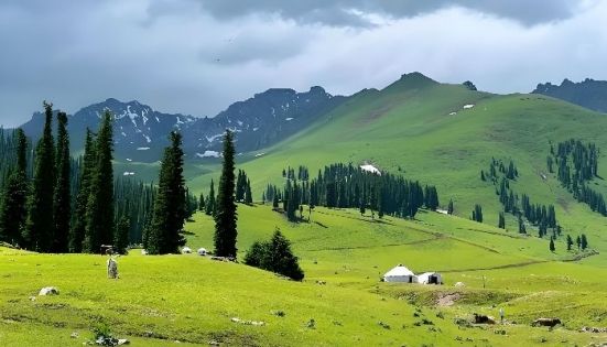 北疆海拔全攻略：探索新疆壯麗高原的旅行指南