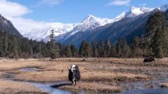 西藏1月天氣全攻略:旅客必知的寒冬季節旅行秘訣