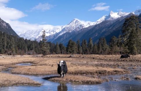 西藏1月天氣全攻略:旅客必知的寒冬季節旅行秘訣