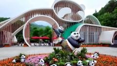 大陸熊貓旅行團 - 成都熊貓旅行團深度攻略