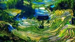 雲南旅遊旺季完全指南：時機、優劣與暢玩攻略