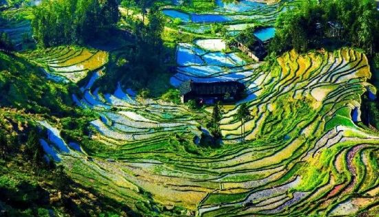 雲南旅遊旺季完全指南：時機、優劣與暢玩攻略