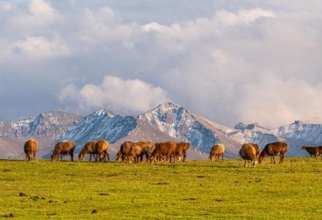 新疆伊犁天氣全攻略：四季風情與旅遊必知