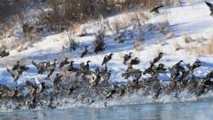 北疆几月去最美：四季輪轉間邂逅不一樣的風光