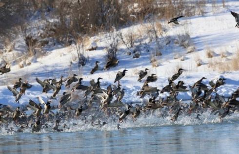 北疆几月去最美:四季輪轉間邂逅不一樣的風光