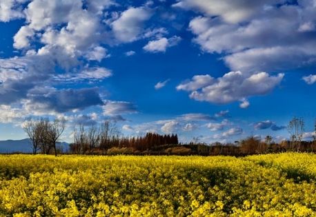 雲南麗江1月天气：旅客必知的防寒與暢遊攻略