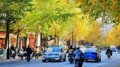 昆明冬天溫度：揭開“春城”溫暖如春的冬季秘密