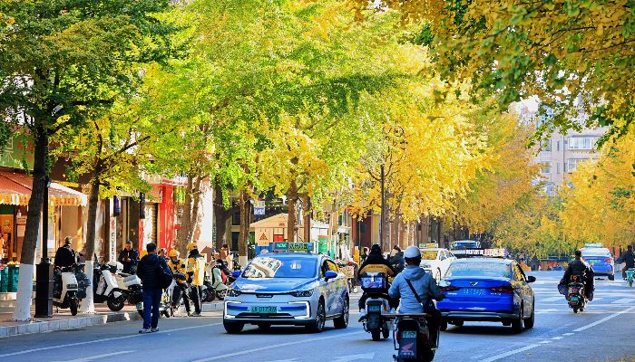 昆明冬日陽光街景