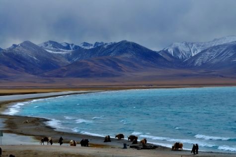 去天空最貼近大地的地方：那曲地區深度旅行攻略