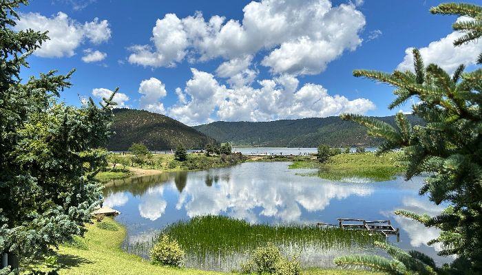 普達措國家公園夏季