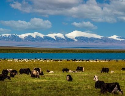 中國地形漫遊:從雪域到海灘的奇妙探索之旅