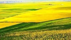 青海八月天氣：行前必讀指南和避暑季的降雨、降溫與安全應對