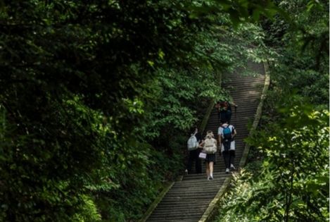 峨眉山徒步：在雲海佛國間踏尋川蜀靈秀風光