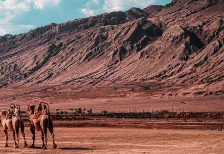 絲綢之路景點攻略：踏古道尋遺跡覽大漠人文與自然之美